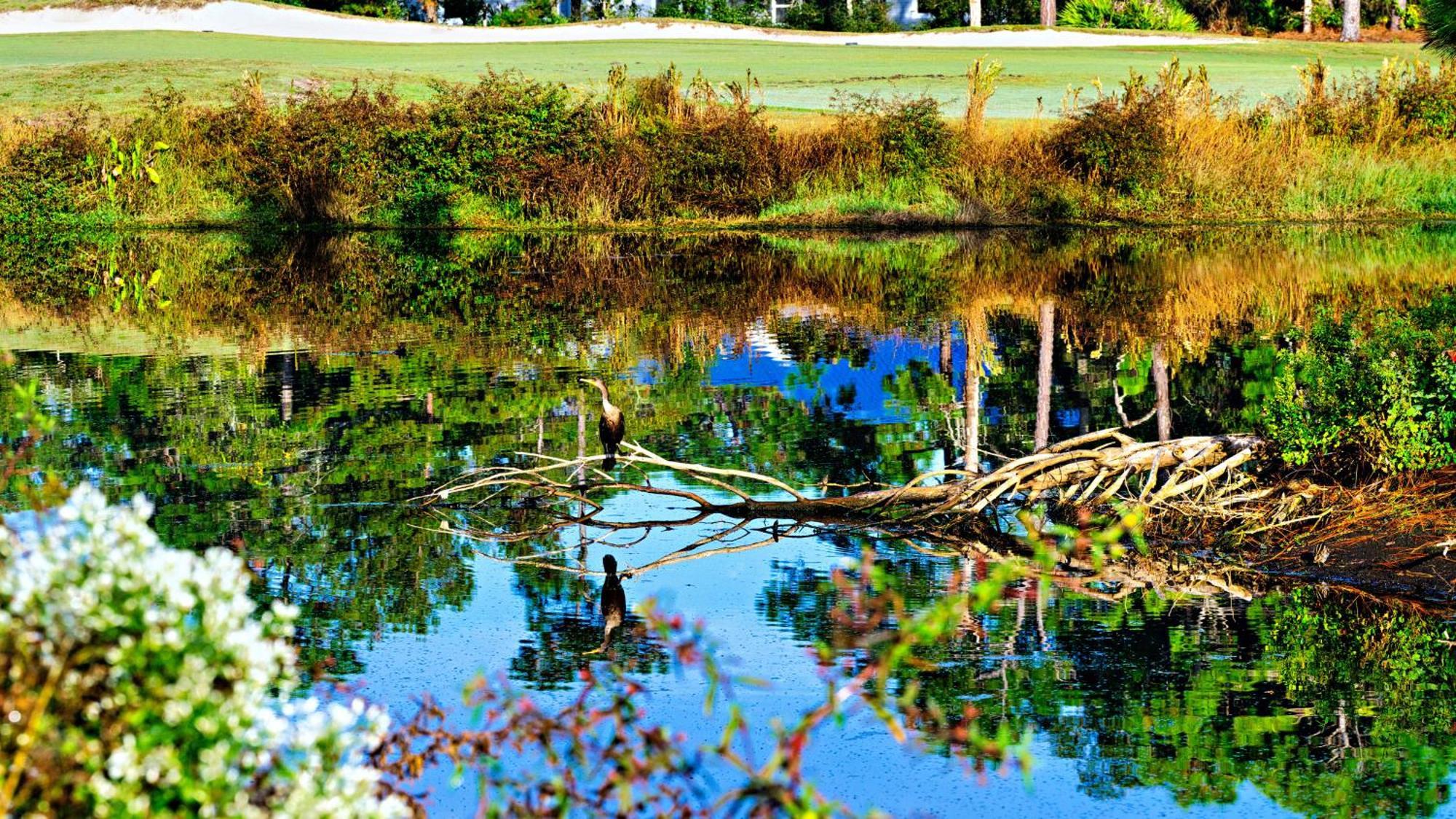 St James Bay Golf & Pickleball Resort Big Blackjack Landing 外观 照片
